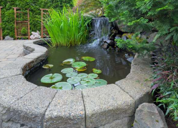 Taman dengan hiasan air terjun yang mengalir ke kolam mini